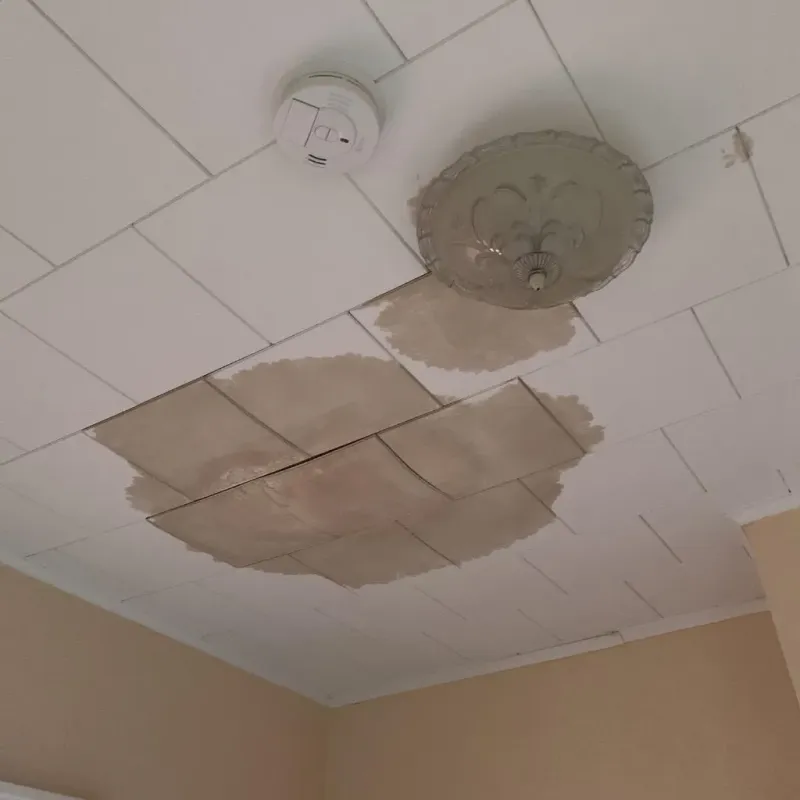 Ceiling Water Damage Repair in Marshfield, MA
